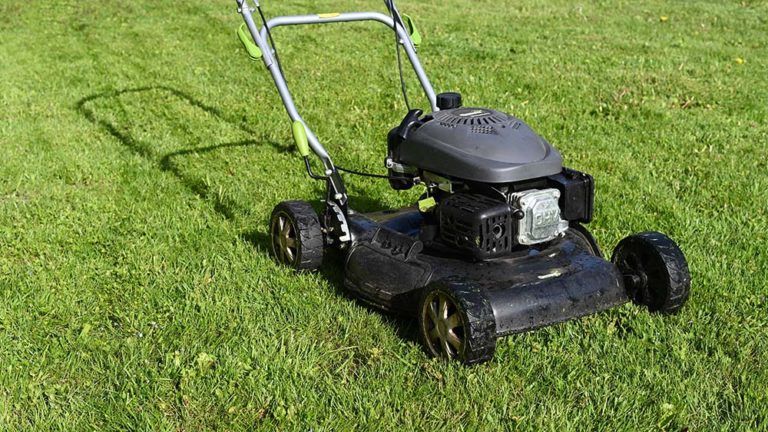 Things to look for when buying a lawn mower