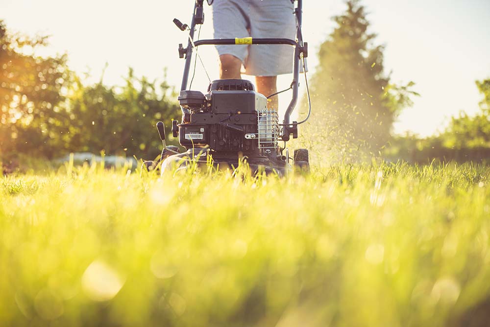 electric vs. gas lawn mowers